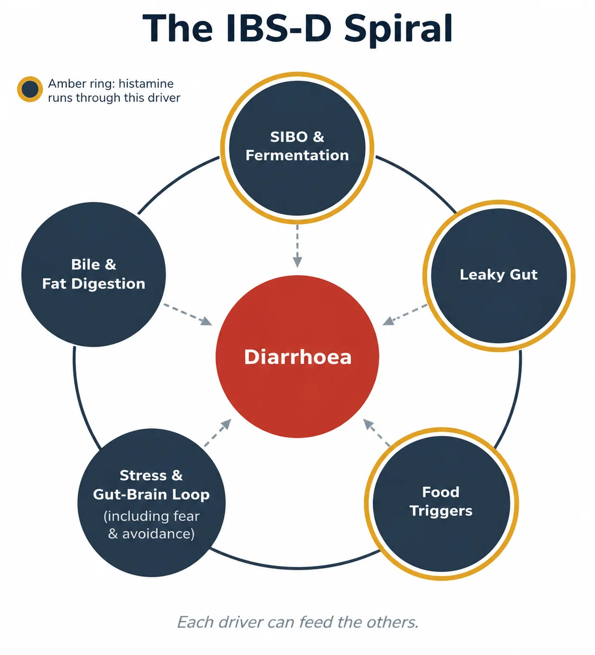 IBS-D Spiral