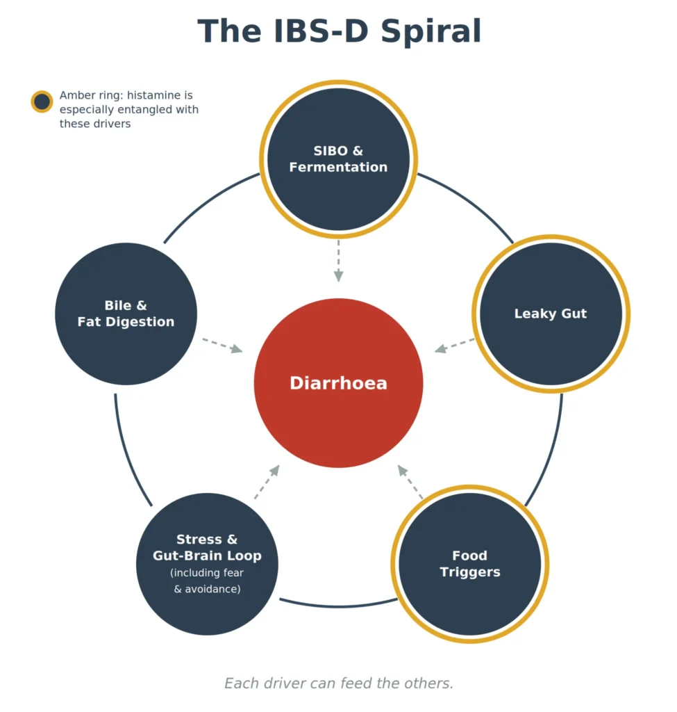 IBS-D_Spiral_Web_Optimised_v2